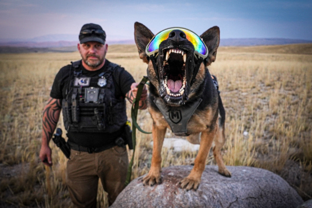 The Law Enforcement K9 Handler: The Job Is Being a Forever Student
