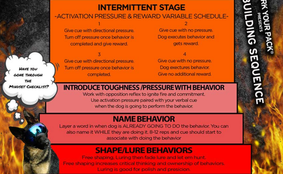 Do You Have a Training System… or Just a Collection of Tips?