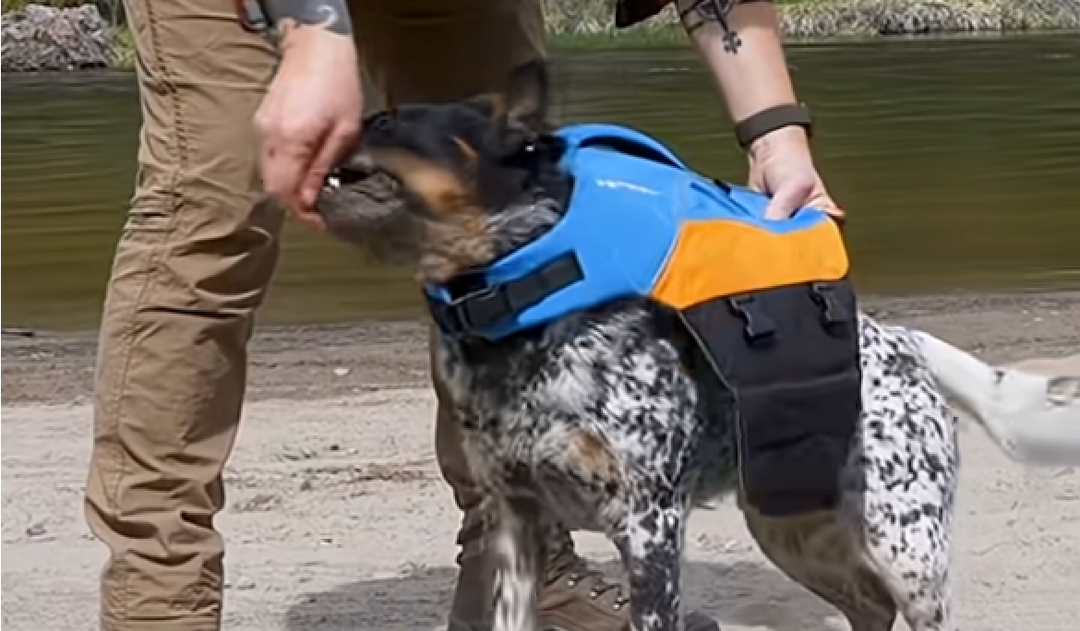 PFD Neutrality: The Small Game That Makes Paddle Days Easy