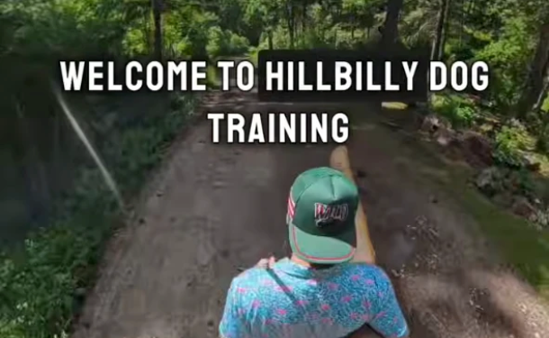 Man Stands in Creek. Dog Gets on Paddleboard. Progress.