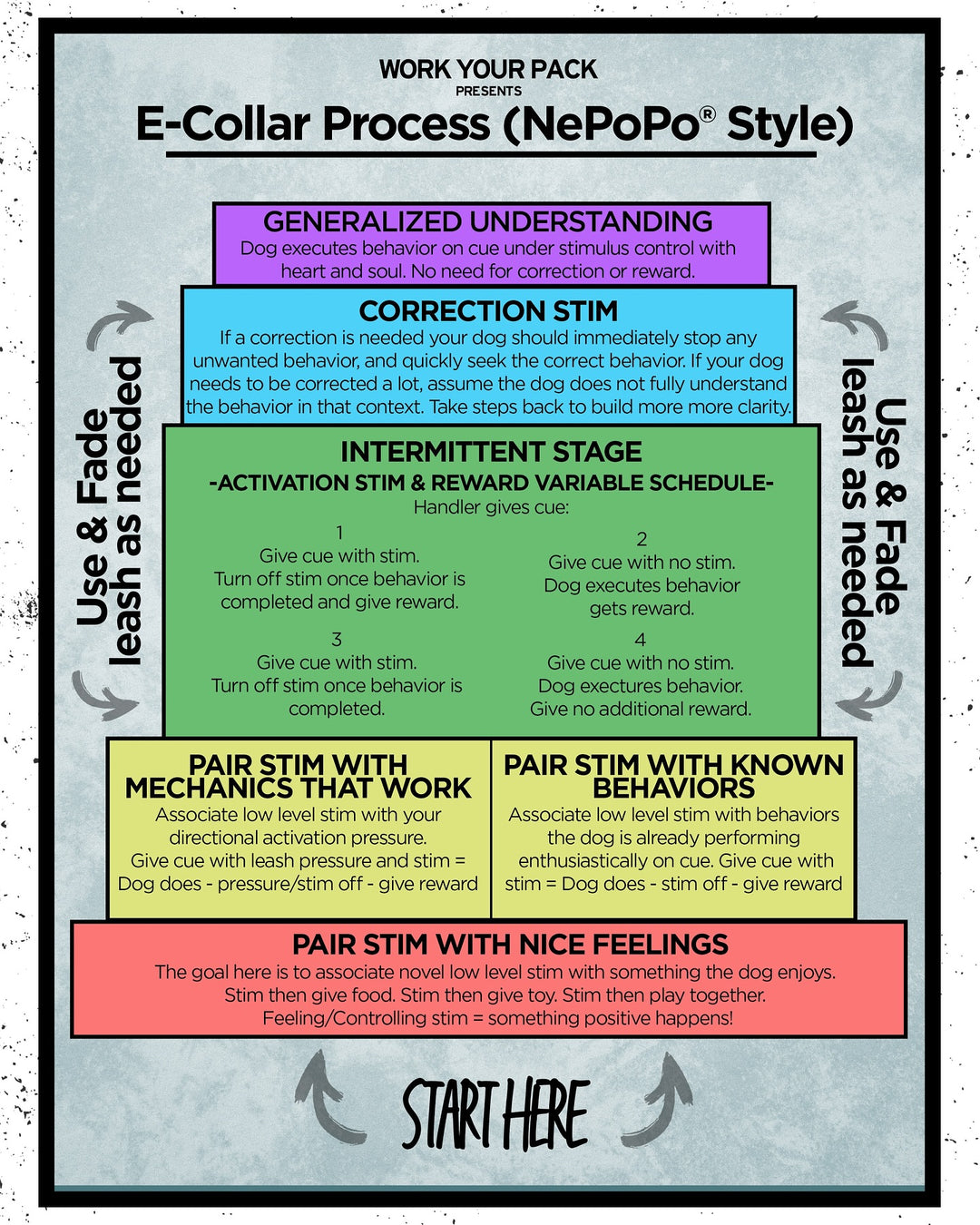 Advanced Off Leash Obedience NePoPo® Style