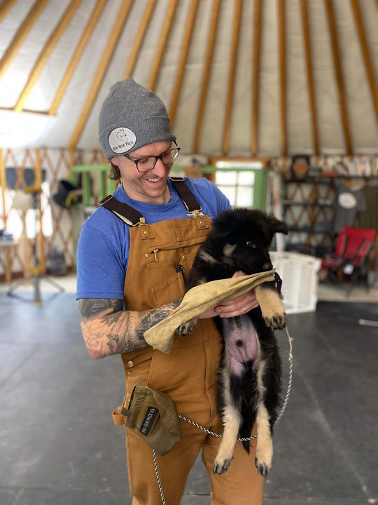 Puppy Training Essentials