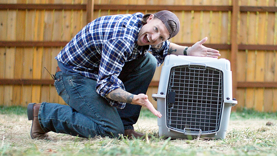 Free Dog Crate Training Course