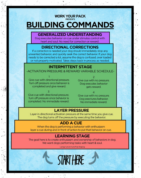 Foundational On Leash Obedience NePoPo® Style