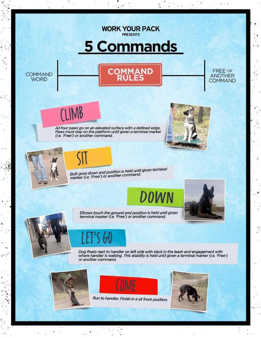 Foundational On Leash Obedience NePoPo® Style