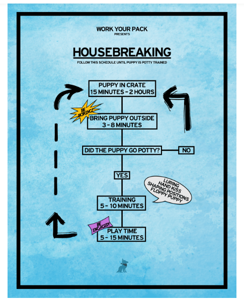 Puppy Training Essentials