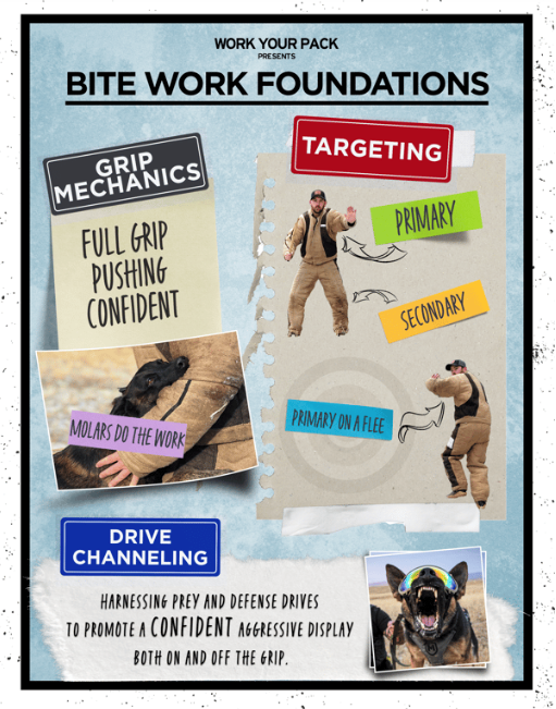 Decoy Elements - Professional Bite Work Training Course