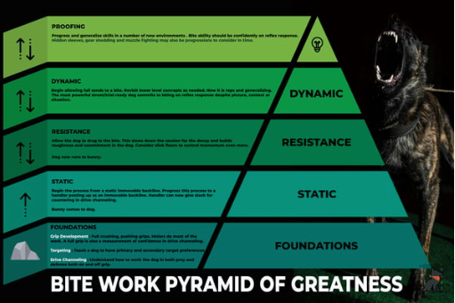 Decoy Elements - Professional Bite Work Training Course
