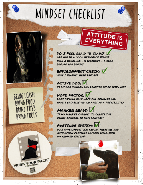 Ignite Your Training System