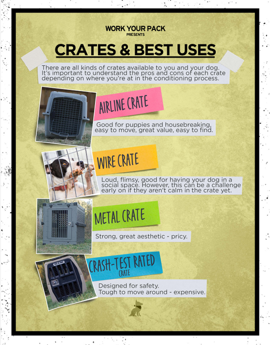 Free Dog Crate Training Course