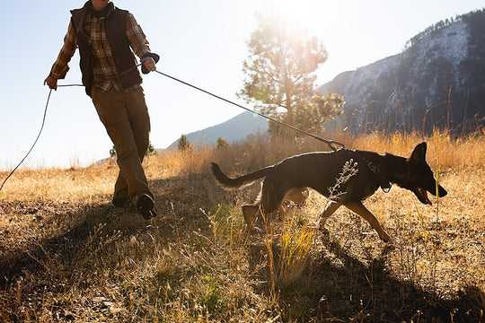 Tracking: Freedom to Hunt Style