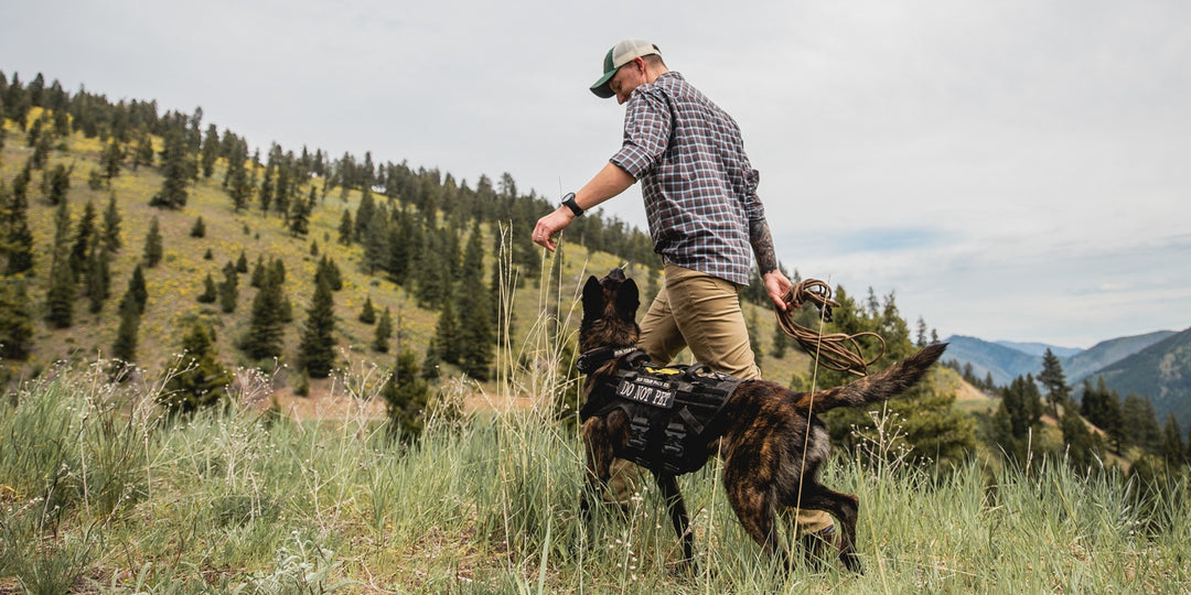 Advanced Off Leash Obedience NePoPo® Style