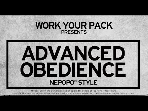 Advanced Off Leash Obedience NePoPo® Style
