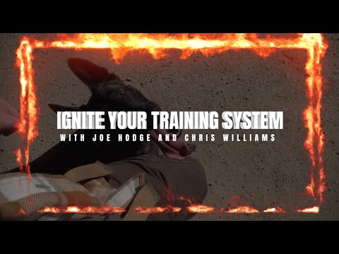 Ignite Your Training System
