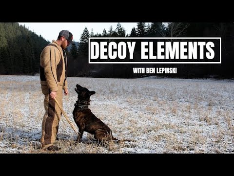Decoy Elements - Professional Bite Work Training Course
