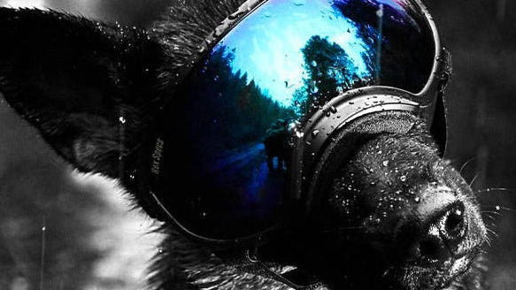 rex spec goggles FREE COURSE Rex Specs Goggle Conditioning – Work Your Pack