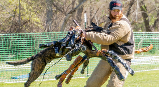 Decoy Elements - Professional Bite Work Training Course – Work Your Pack